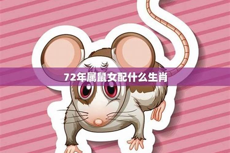 揭秘生肖配对：属鼠女的婚姻幸福密码