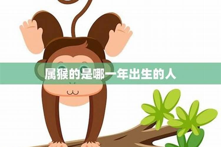 属猴的人是哪年出生