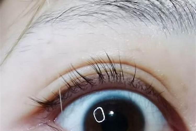 睫毛长的女生命运好吗？——命理学视角探讨