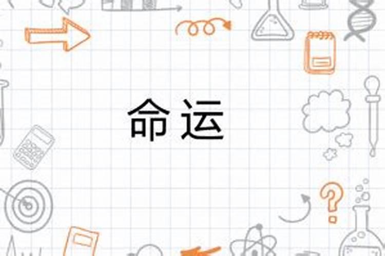 板命解密：命理学中的宿命与变数