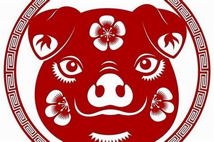揭秘生肖猪的天赐良缘：与哪些生肖最为相合？