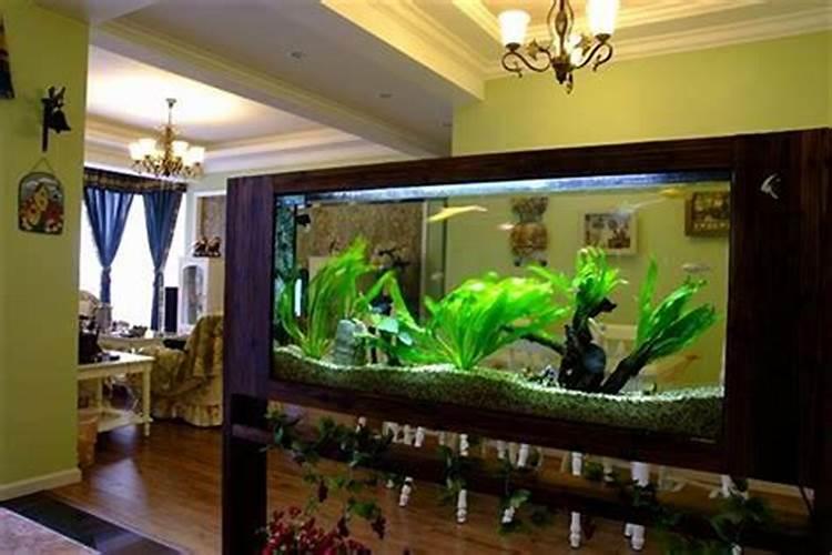 鱼缸形状与风水学：如何选择最佳风水鱼缸？