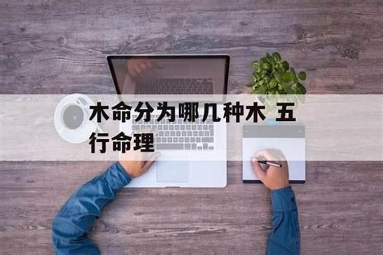 木命分几种如何分法