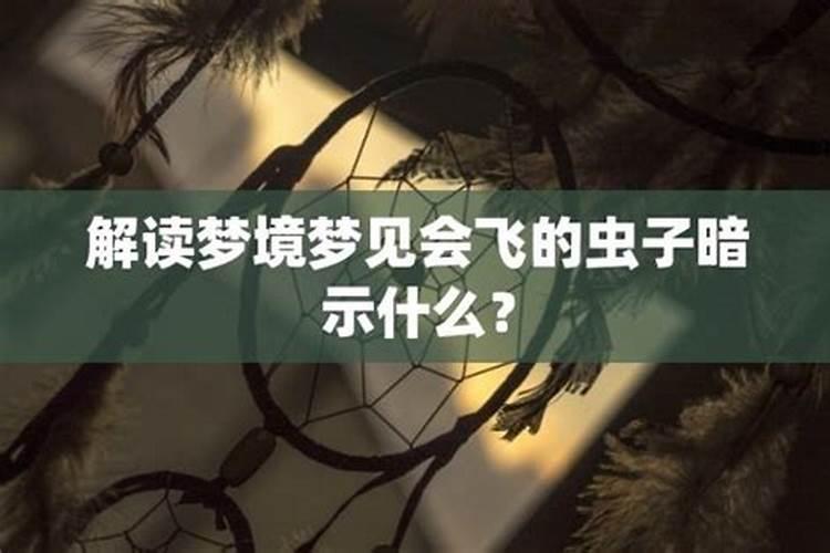 解读梦境：梦见狗身上好多虫子的心理暗示？