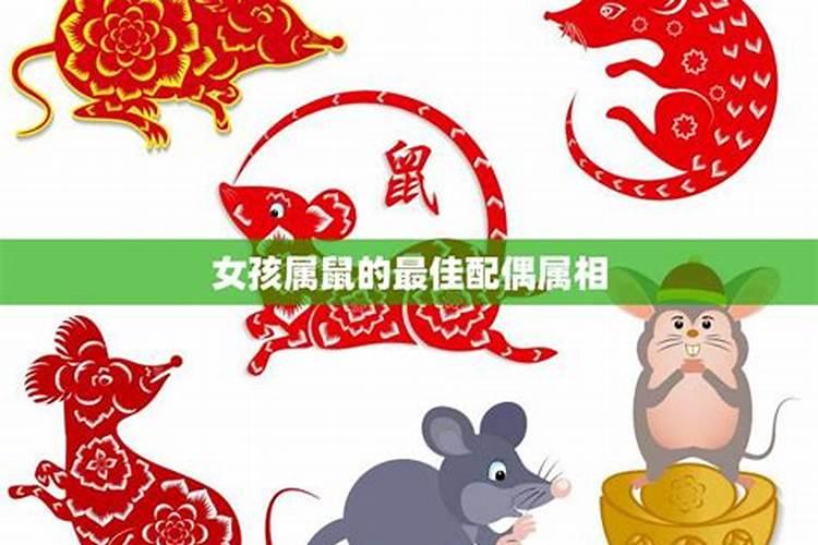 属鼠的你，找到最佳配偶了吗？——揭秘属相与婚姻的奇妙缘分