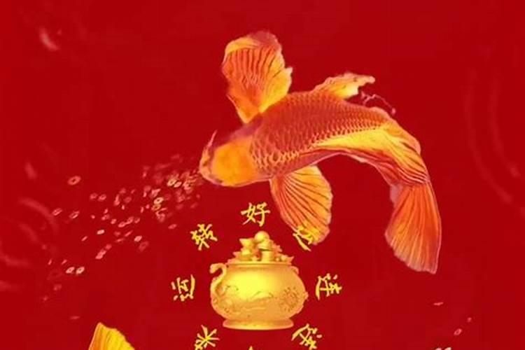 2024年属马人转运月：时来运转，好运连连