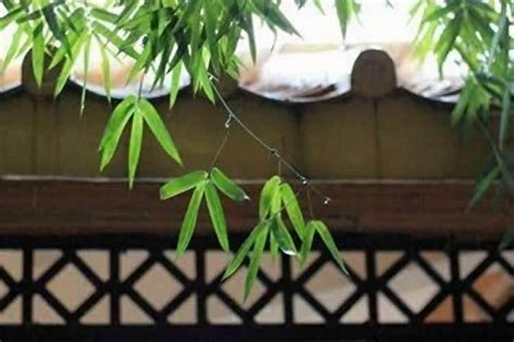 命理学揭秘：转运工作不顺利的秘诀