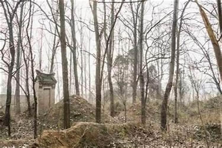 风水学视角下的坟地拔穴：对后代的影响与启示