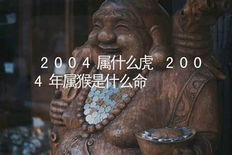 2004是什么命