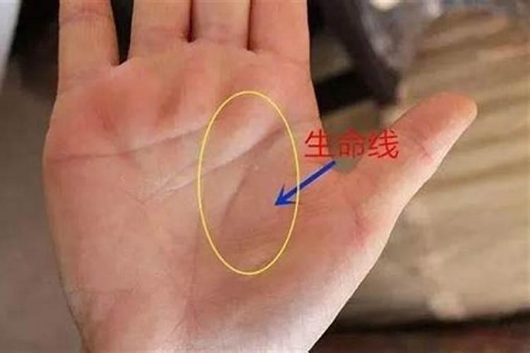 生命线短是什么意思？