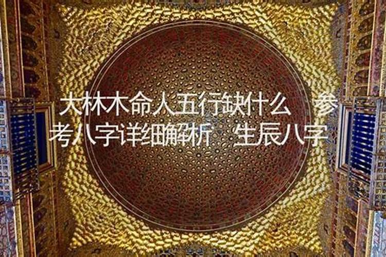大林木命的人五行缺什么