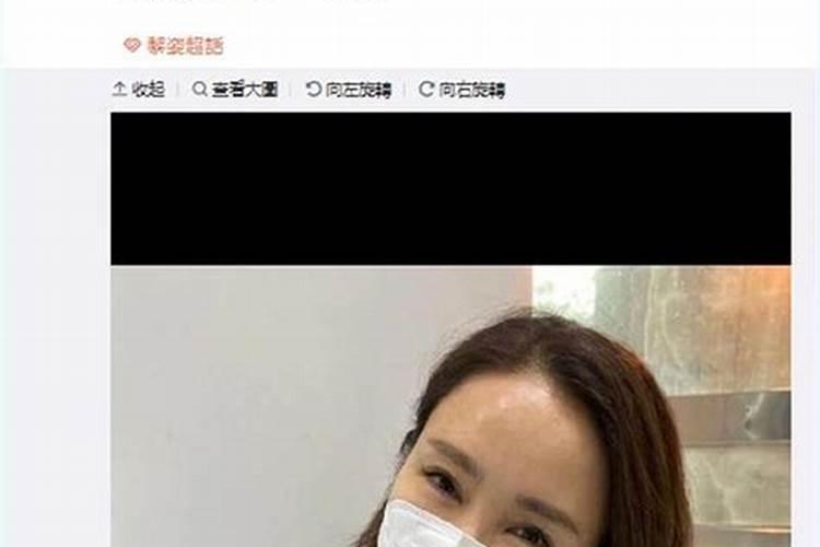 汪星人驾到：家中三犬，添趣还是添乱？