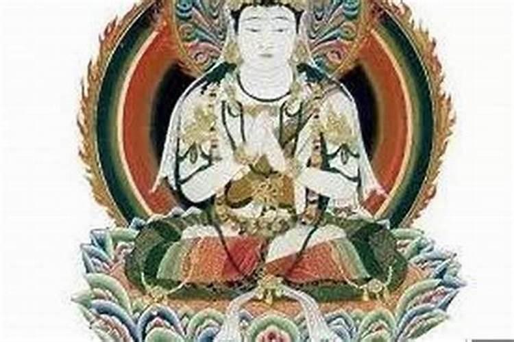 蛇本命佛菩萨是什么？