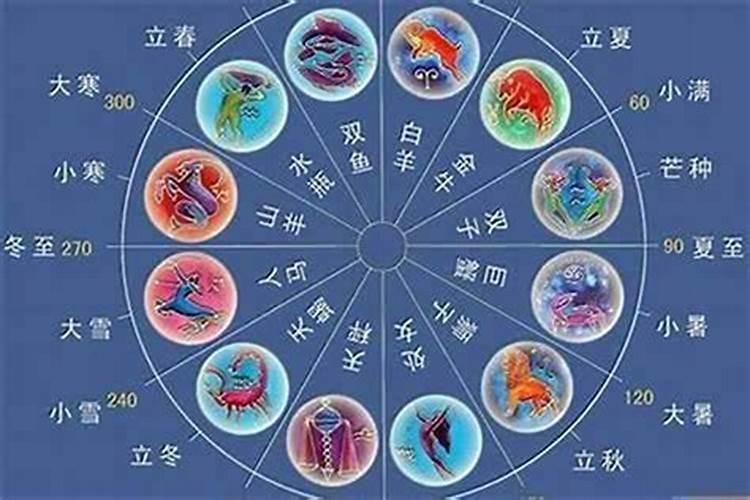 同生肖结合：缘分的指引还是选择的局限？