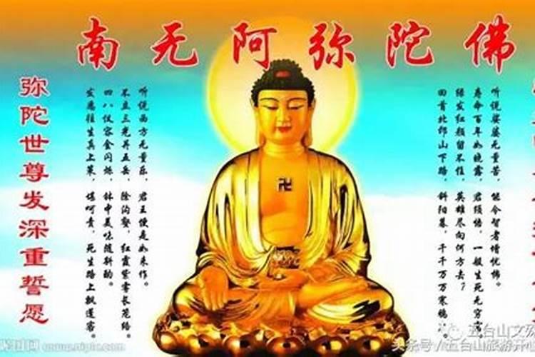 终朝拜佛念弥陀什么意思