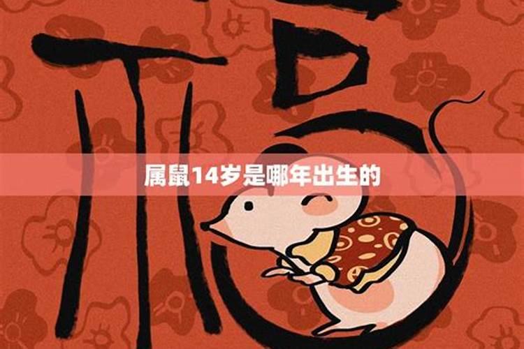 揭秘宿命宿敌：属鼠人需警惕的生肖之谜