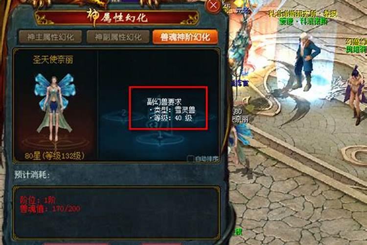 给新人的建议:魔域练啥宝宝好