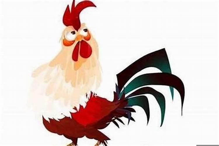 属鸡的与什么属相合作最好？