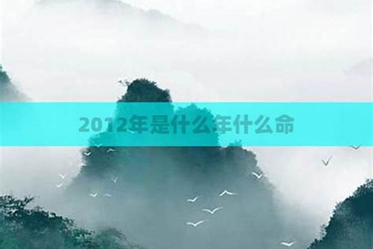 2012年是什么命