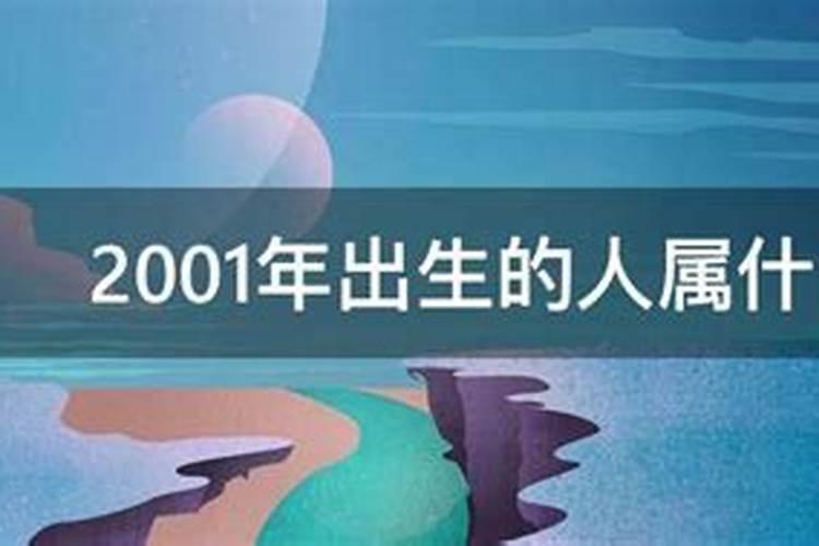 2001年出生的人属什么？
