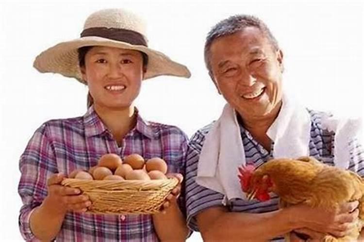蛇羊联姻：天作之合还是命运多舛？