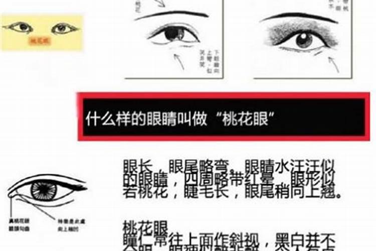 桃花眼的女人什么命？