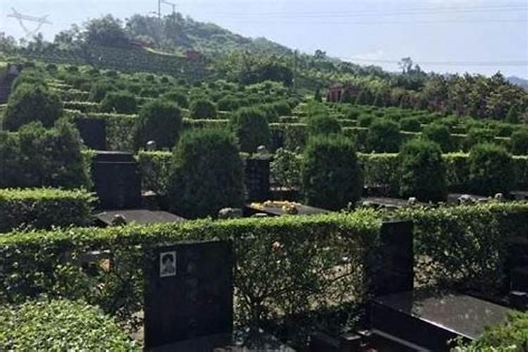 探秘福泽后世：墓地风水与子孙兴旺之道