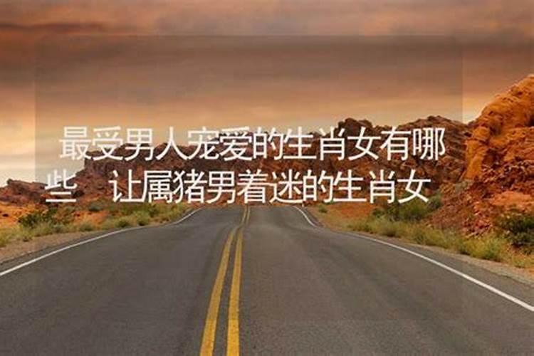 男人最爱的生肖女有哪些？