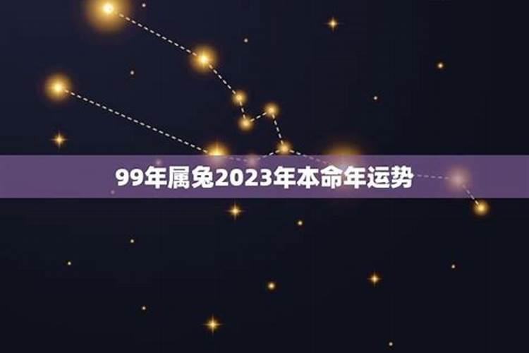 属兔人的本命年：迎接挑战，拥抱好运