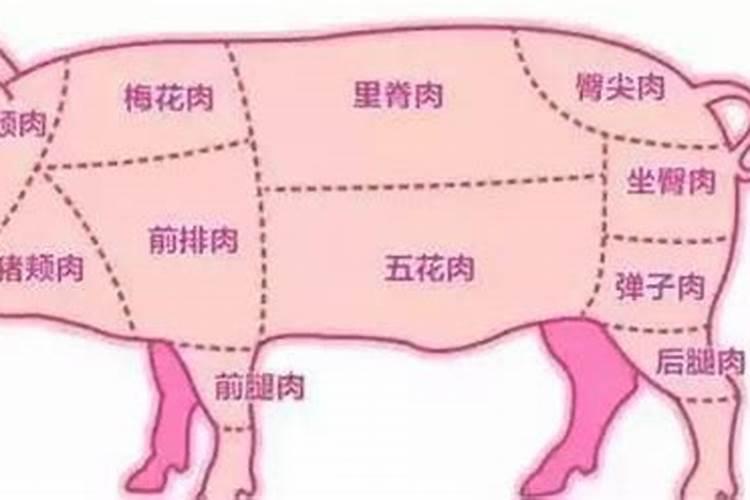 梦境中的味觉预兆——解读梦见猪肉的象征意义？