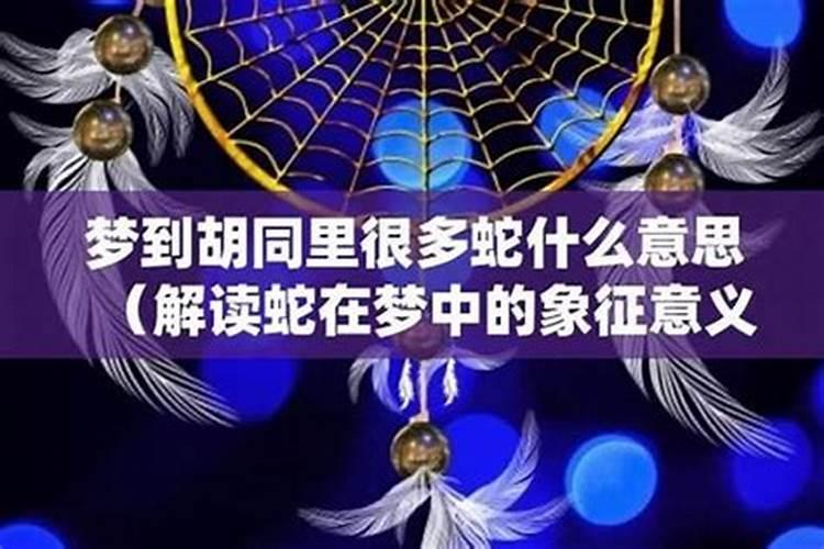 梦之蛇语：解读未咬之众蛇奥秘