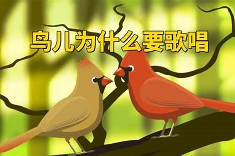 为什么早上鸟儿会叫？