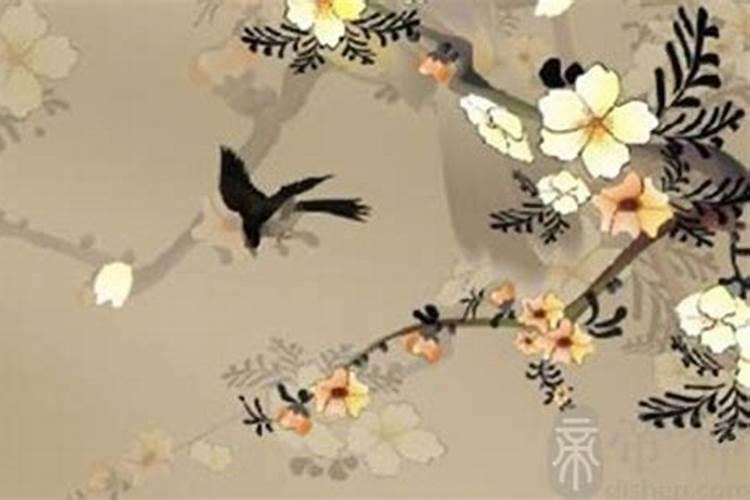 几月出生的人是桃花命