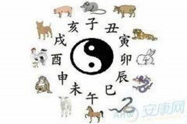 属相是按阴历还是立春？