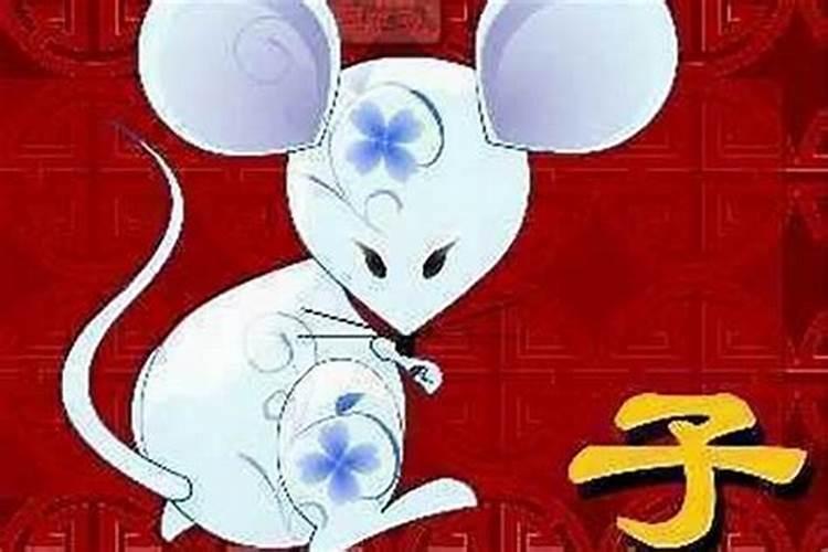 属鼠和属什么的最相合做生意呢？
