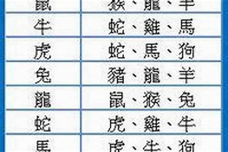 寅时出生的属相选择：寻找最佳匹配