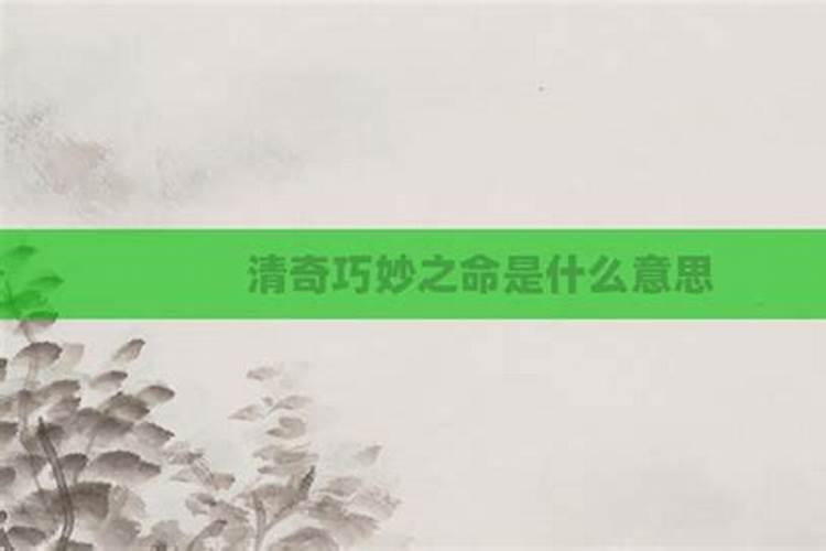 什么叫清奇巧妙之命