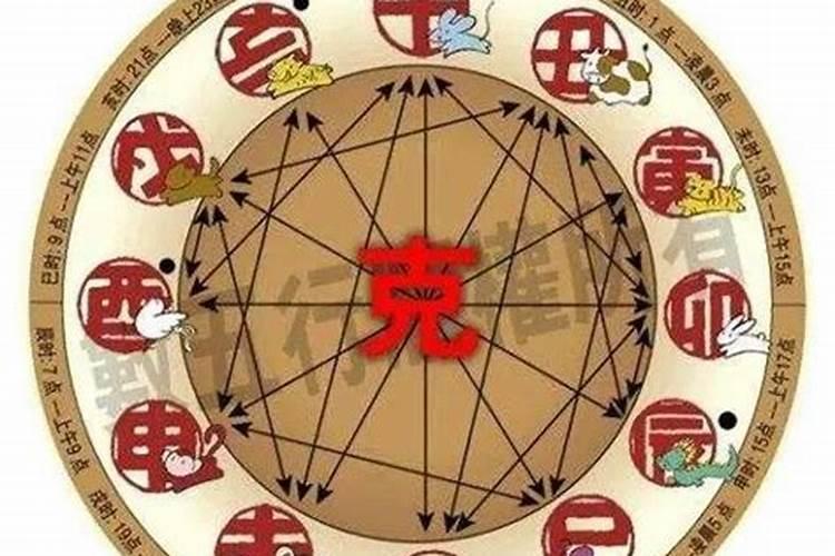 今天属什么冲什么？
