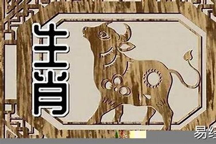 属什么的人最好看？