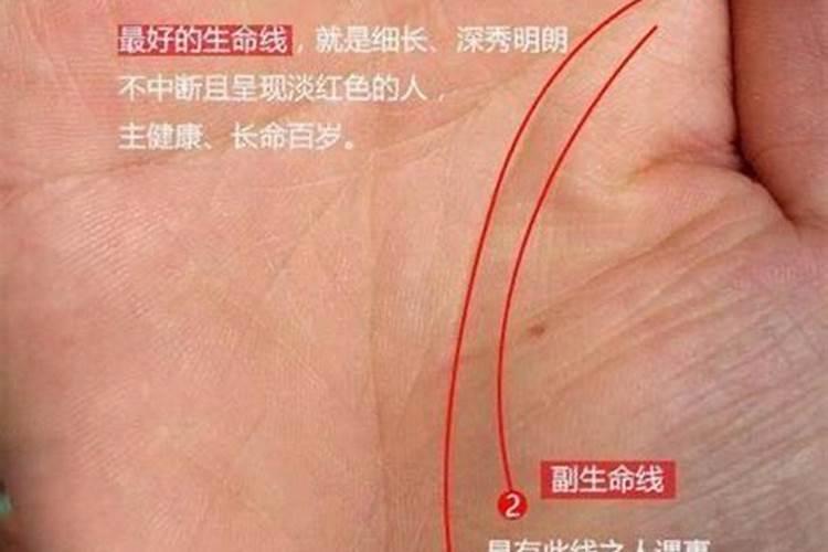 手掌生命线短命就短吗？