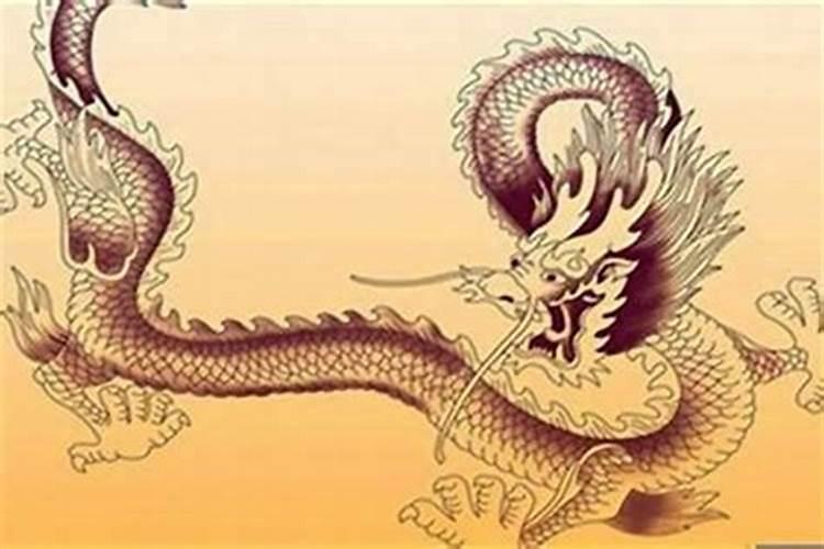 属龙住几楼运势好？