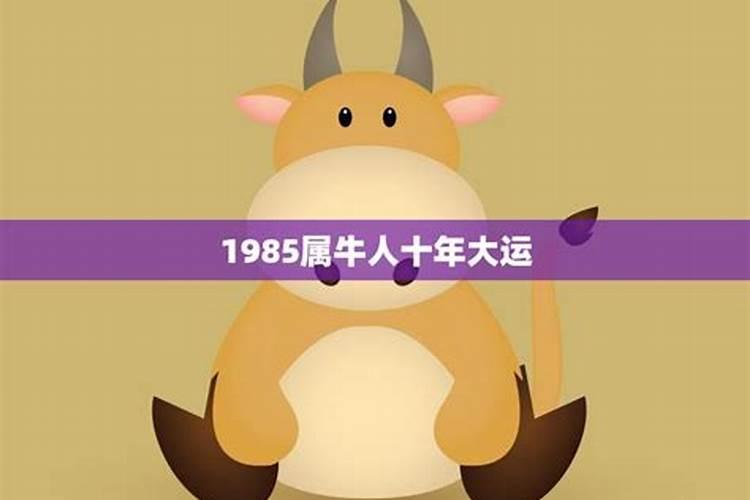 1985年属牛人有几段婚姻？