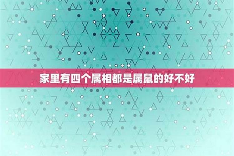 一家人四个属相好吗好不好？