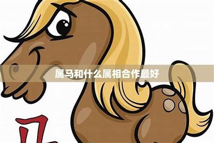 马到成功：探索生肖马的最佳生意伙伴