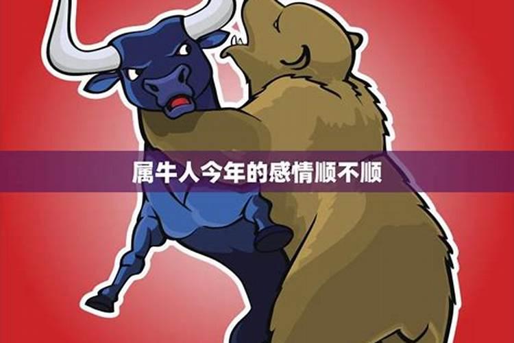属牛人转运大作战：揭秘最佳运势时刻