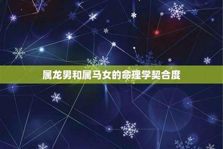 属相情缘：探索属狗与属龙的恋爱契合度