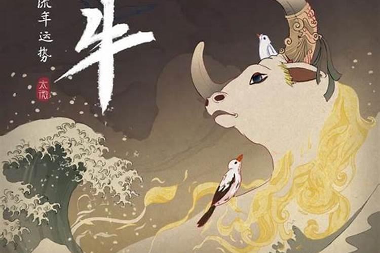属牛的人会怎么样？