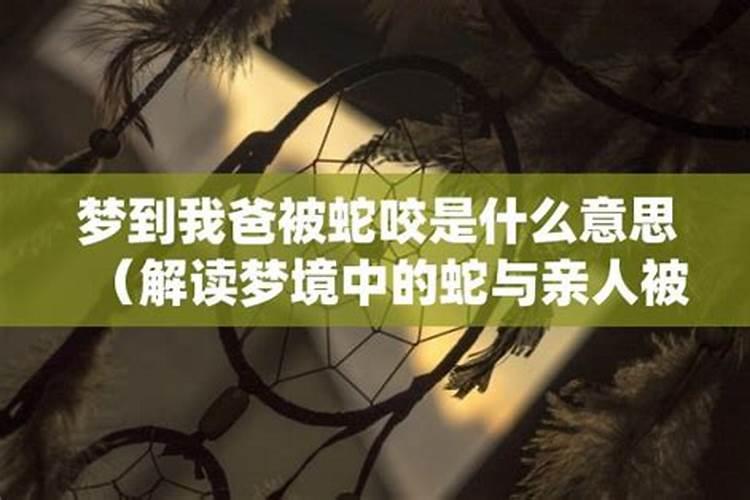 梦之蛇语：解读未咬之众蛇奥秘