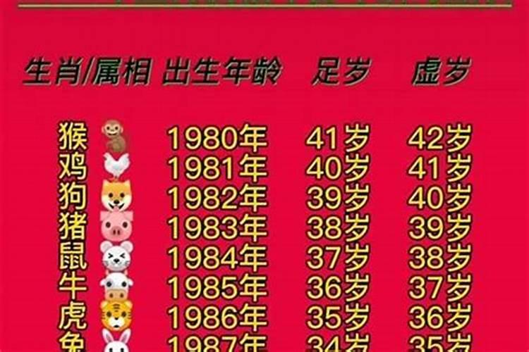 1978年出生的属啥：回顾与展望？