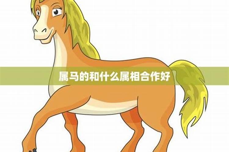 属马和什么属相工作比较好？